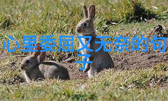 一张图片里藏着的女生魅力在哪里
