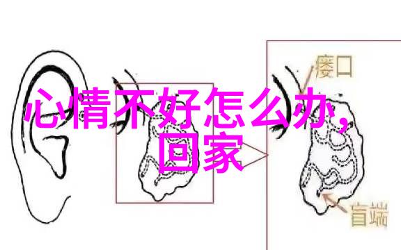 古文字解码工具重现历史文字的秘密