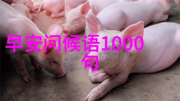东方风范剖析中国帅哥的独特魅力