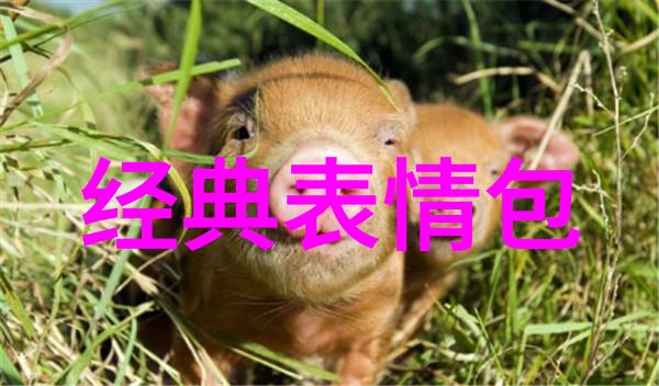 女生说男生八卦什么意思郭可颂分享全家福为爱妻熊黛林庆生双胞胎女儿长相大不同
