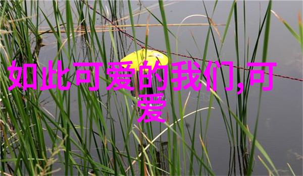 绽放之美探索女性美的艺术表现