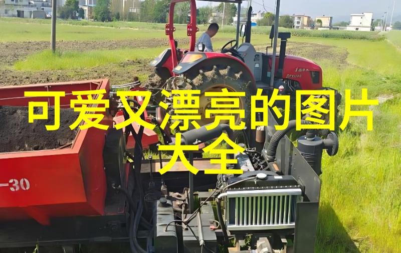 2022给女人带来好运的网名文艺风范的男子傻瓜般遇见了我这个骗子