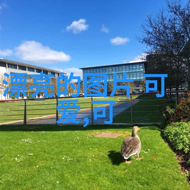 我的岳父会武术特战荣耀开播定档杨洋李一桐主演新剧深度解析