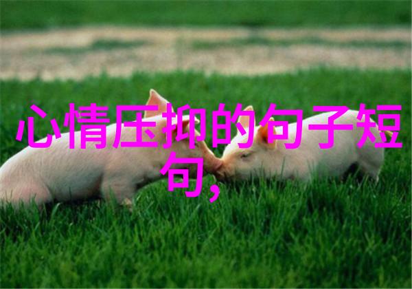 易经八卦激励刘昊然逆袭成星实力铸辉煌