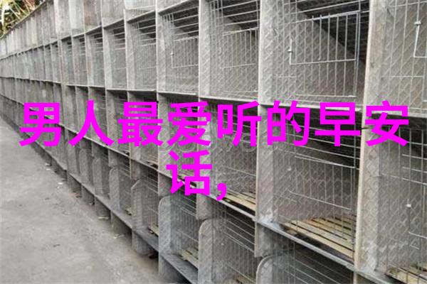 绚烂梦幕下的温柔纠缠