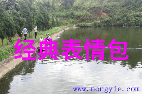 时间里的永恒瞬间纪念十五年的他