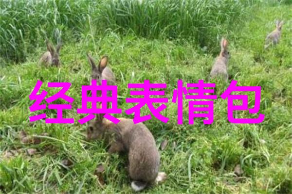 女生聊天赚钱的平台青春语汇网