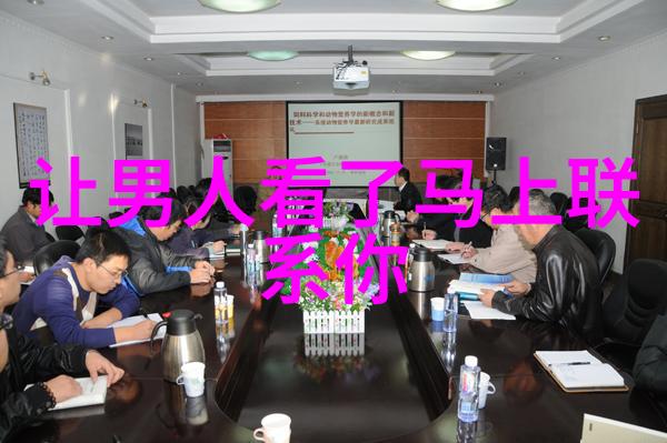 星光聚焦幻想全明星的璀璨篇章
