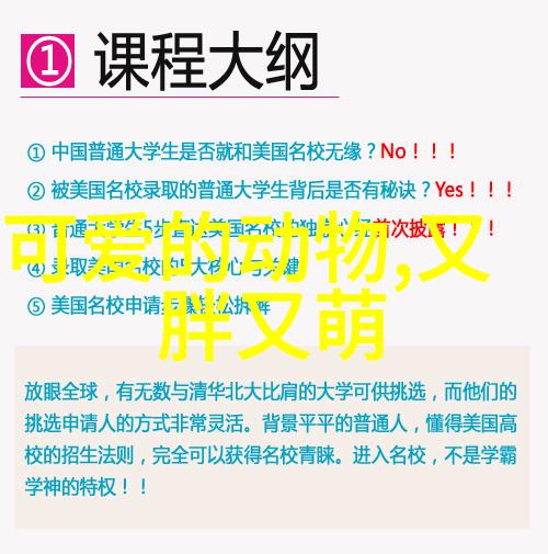 女王降临霸气超拽网名大全2013最新版