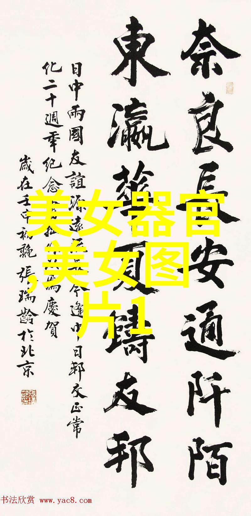 江湖飘渺武打明星的传奇