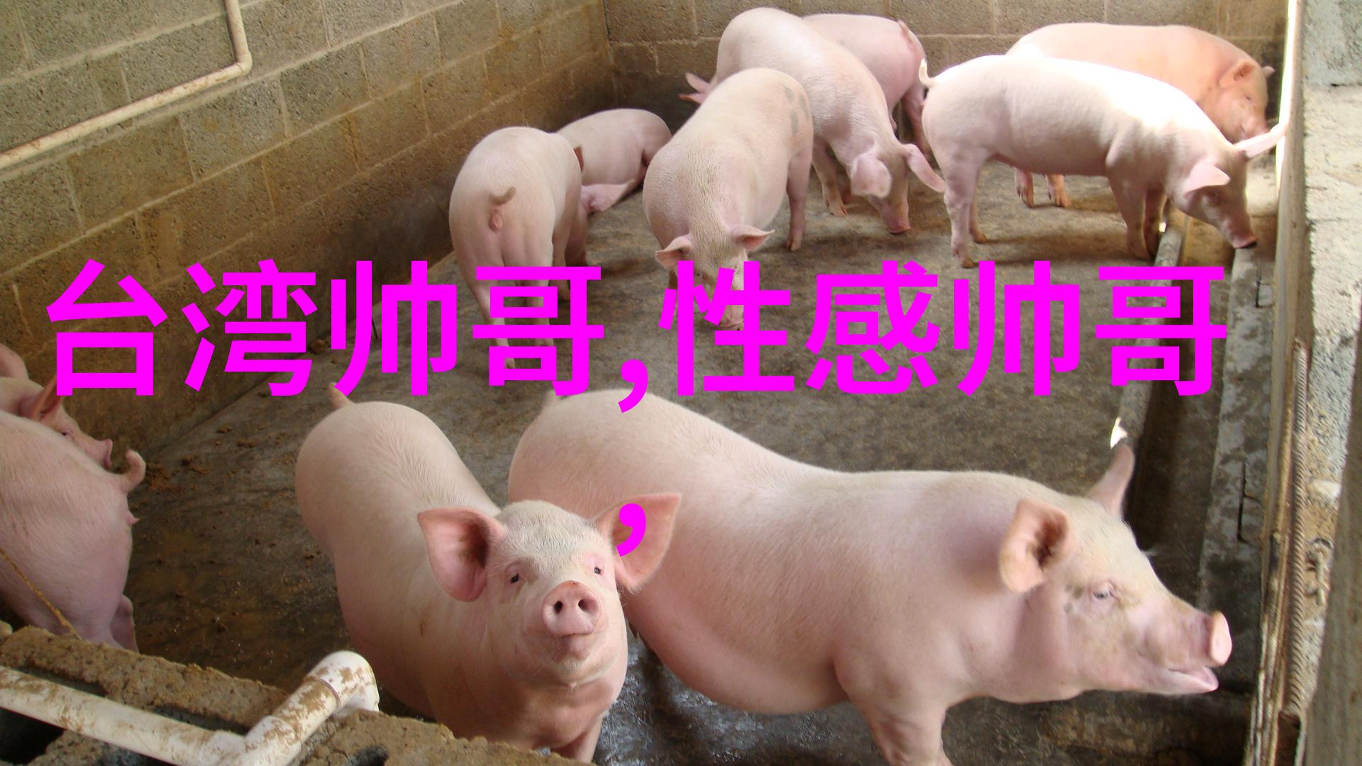 兄弟抖音网名大全物品简单好听的昵称推荐