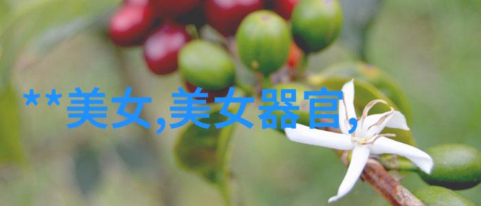 亲妹之谜牛奶与智慧的秘密