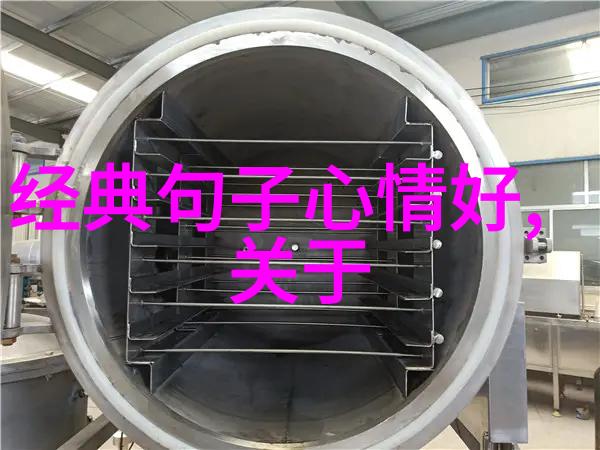 美女之谜色彩与光影的交响