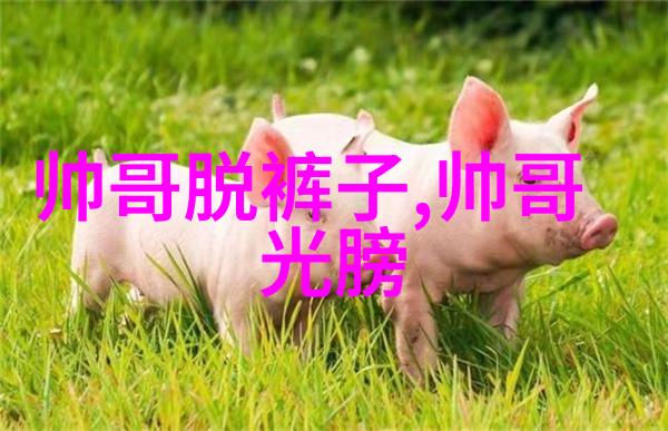 痛楚与欢呼女人打扑克的故事