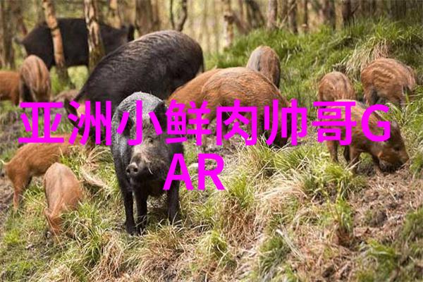 文字图片的魅力故事背后的视觉语言