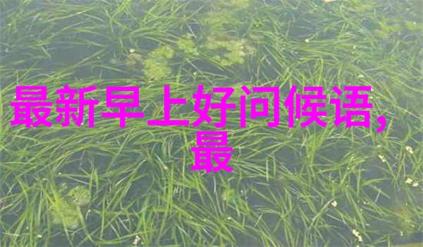 2022抖音前100名网红背后的辛巴二驴翻脸秘密谁是真正的缘分与仇恨