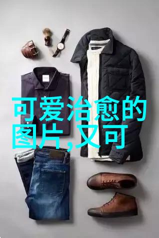 星光下的隐私权战役对抗镜头下隐私侵犯的小资妙策分享