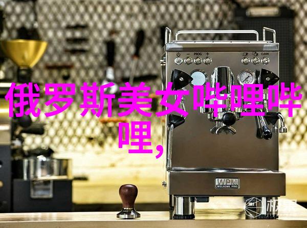 12月的节日盛宴圣诞冬至与新春的欢庆