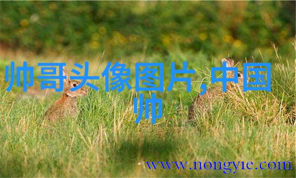 霸气有深意颓废情怀的非主流名片沉默伤感的网络人生