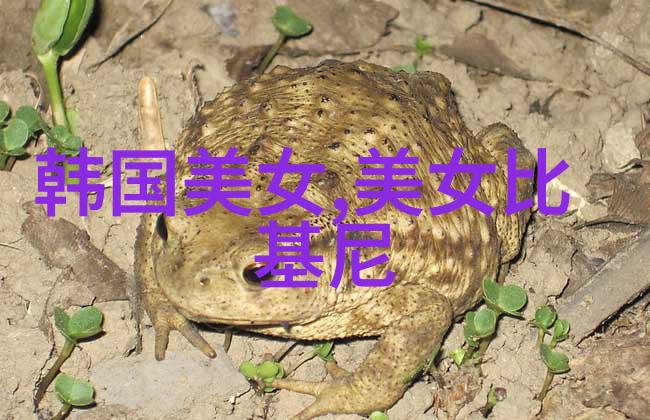 旭日初照晨光熹微清新之音早安的诗意序章