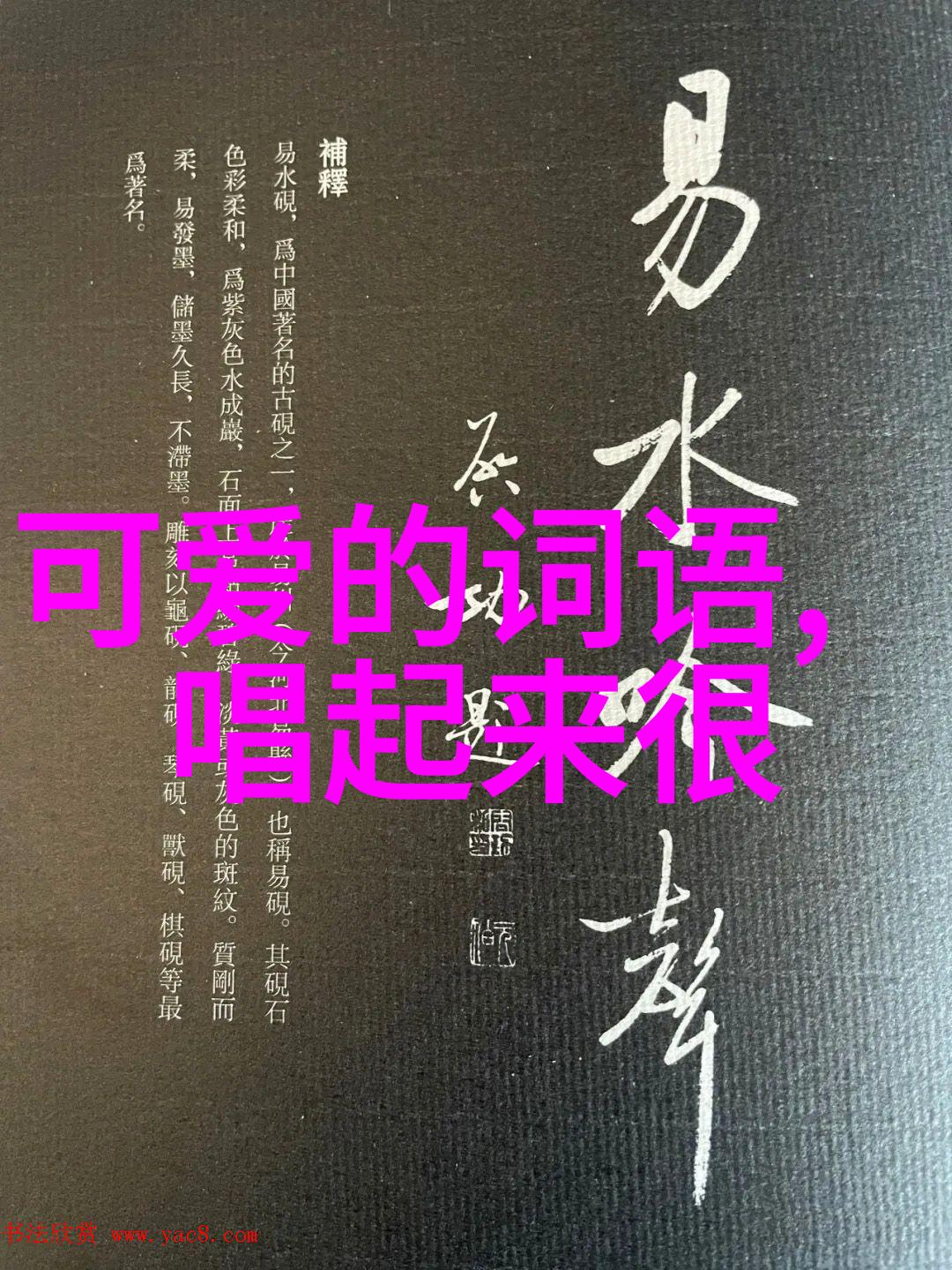 美女的魅力探索容颜与品质的双重魔力