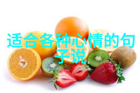 四人小团队的征程梦想与挑战相伴
