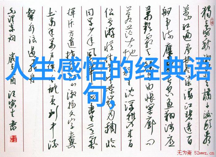 高速时代的呼唤声速度与呼喊的共振