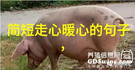 体育明星的光芒他们如何在竞技场上创造传奇