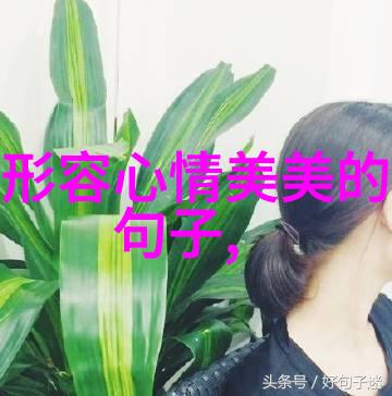 转变你的数字生活可爱超清电脑壁纸推荐