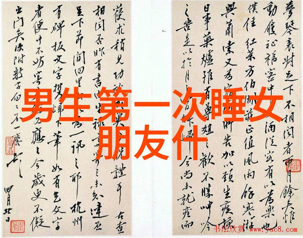 小学必写3000汉字从零到英雄的汉字征程