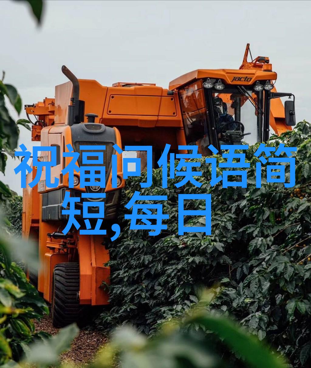 免费扫一扫识别字体无需安装软件的便捷文字分析服务
