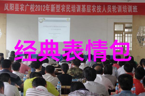 家养水族的秘密共享鱼友之间的相互关怀与共同探索