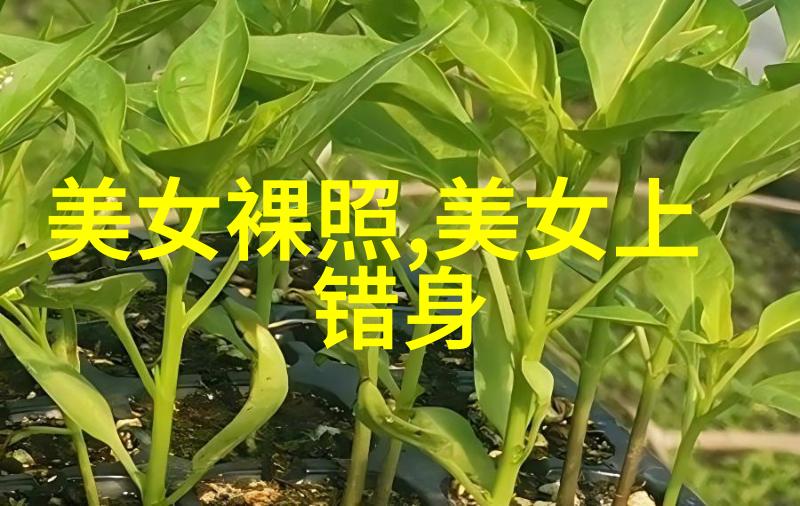 一张鬼图片惊悚传说如何让30万人魂飞魄散