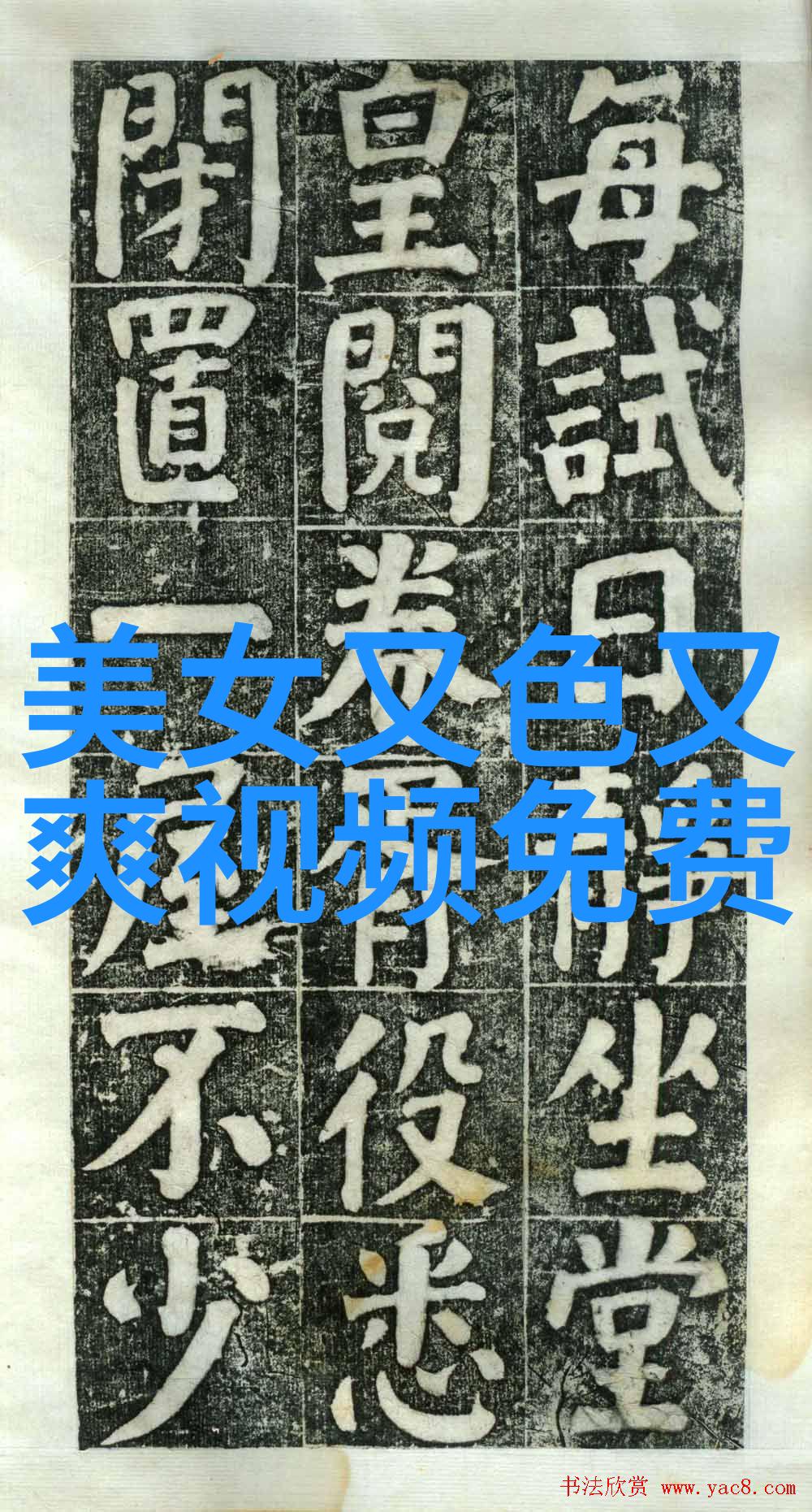 高原上的喜庆壮族传统节日的热情盛宴