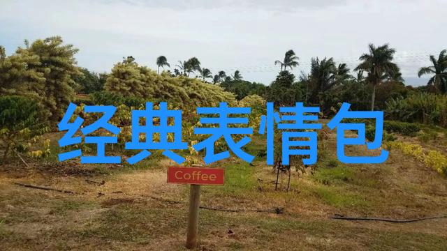 惊魂无限1亿人心跳骤停的诡异影片