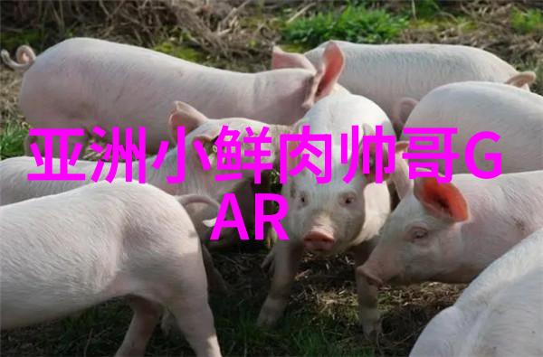 传统节日文化遗产的庆祝之舞