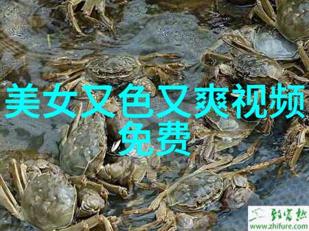 学渣的奇遇在学霸的棒棒上寻找答案