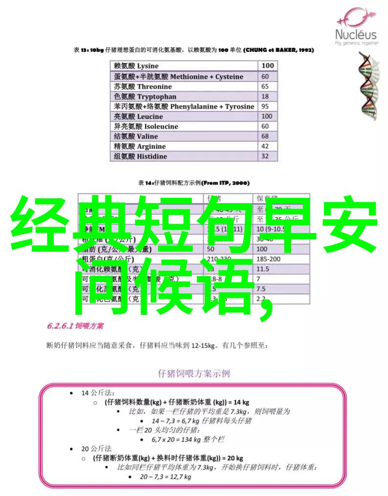 情感艺术家用文字为自己绘制心情画卷