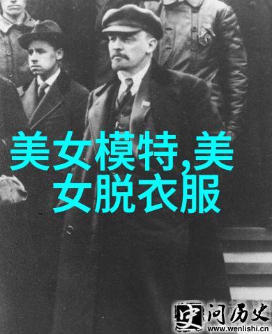恐怖多人联机手游 - 阴影共鸣揭秘恐怖联机游戏的沉浸式恐惧