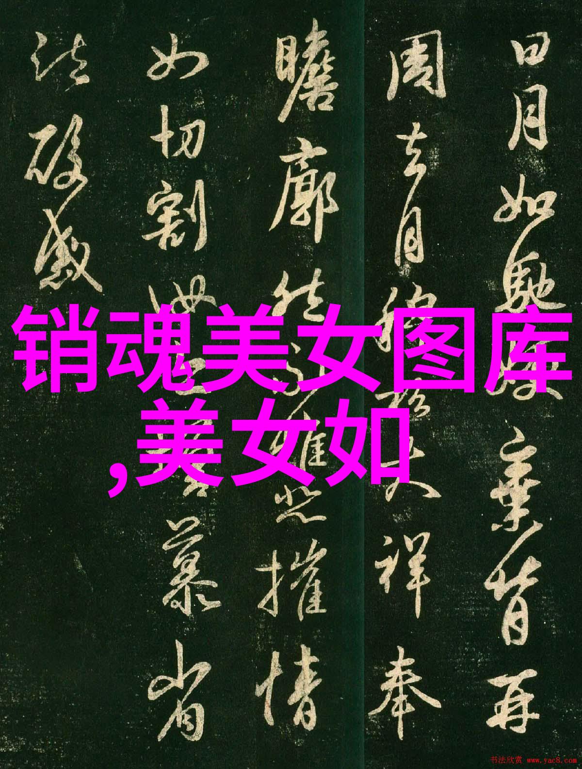 拍摄冬日雪景分享朋友圈的心得体会温暖的雪花与科技的连接