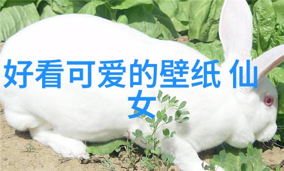 星光闪耀的梦幻汇聚超凡之旅中的传奇集合