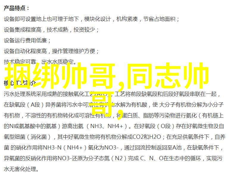 每一天的故事晨曦中的微笑