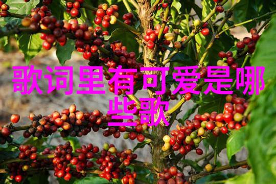 何与是怎么出道的这位小花是哪家公司的宝贝演了啥作品来着别急先看看它的八卦五行属性星座血型身高代表作和