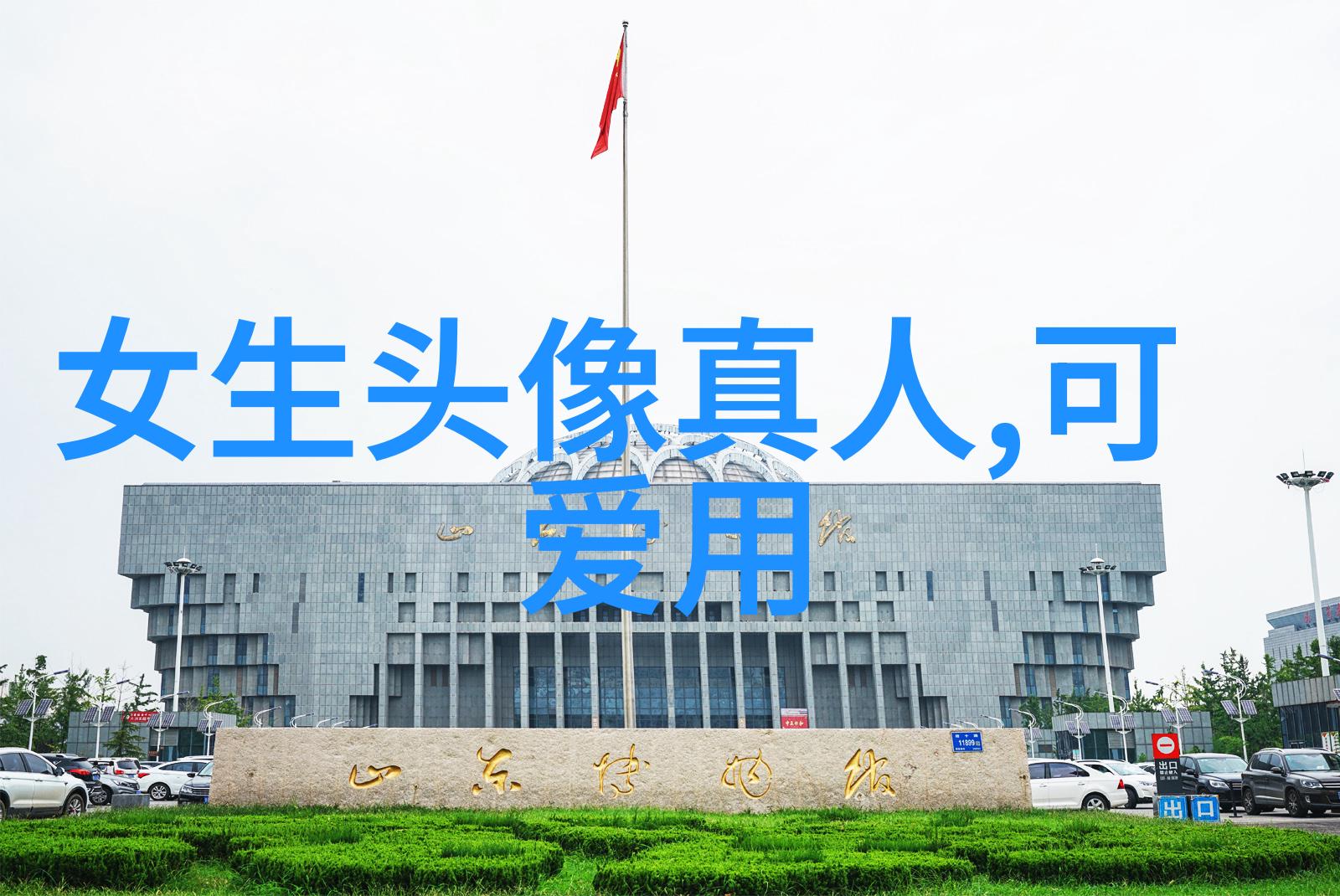 我真是大明星从默默无闻到闪耀屏幕的奇幻之旅