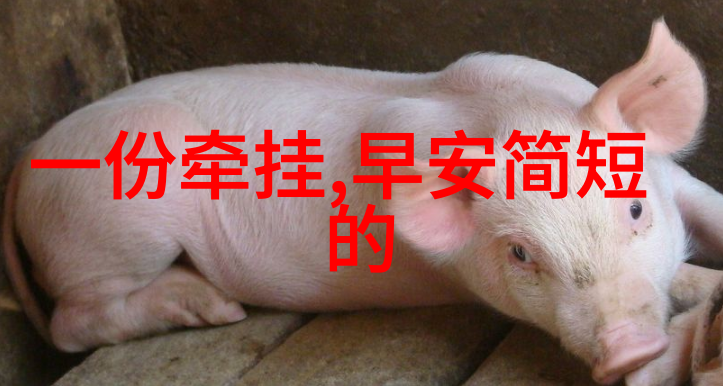 美女形象大集合时尚美妆模特