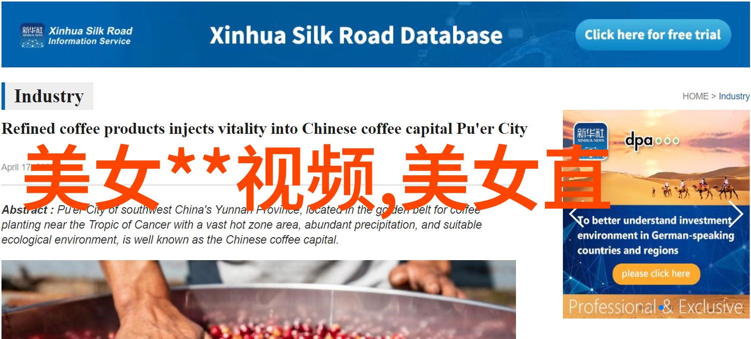 揭秘偷中文字幕背后的诱惑与法律的双刃剑