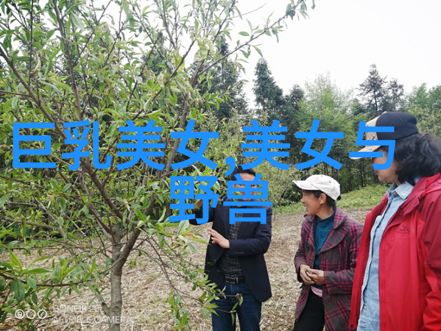 训一条苏格兰牧羊犬不花破产家长们的安静秘诀大揭秘