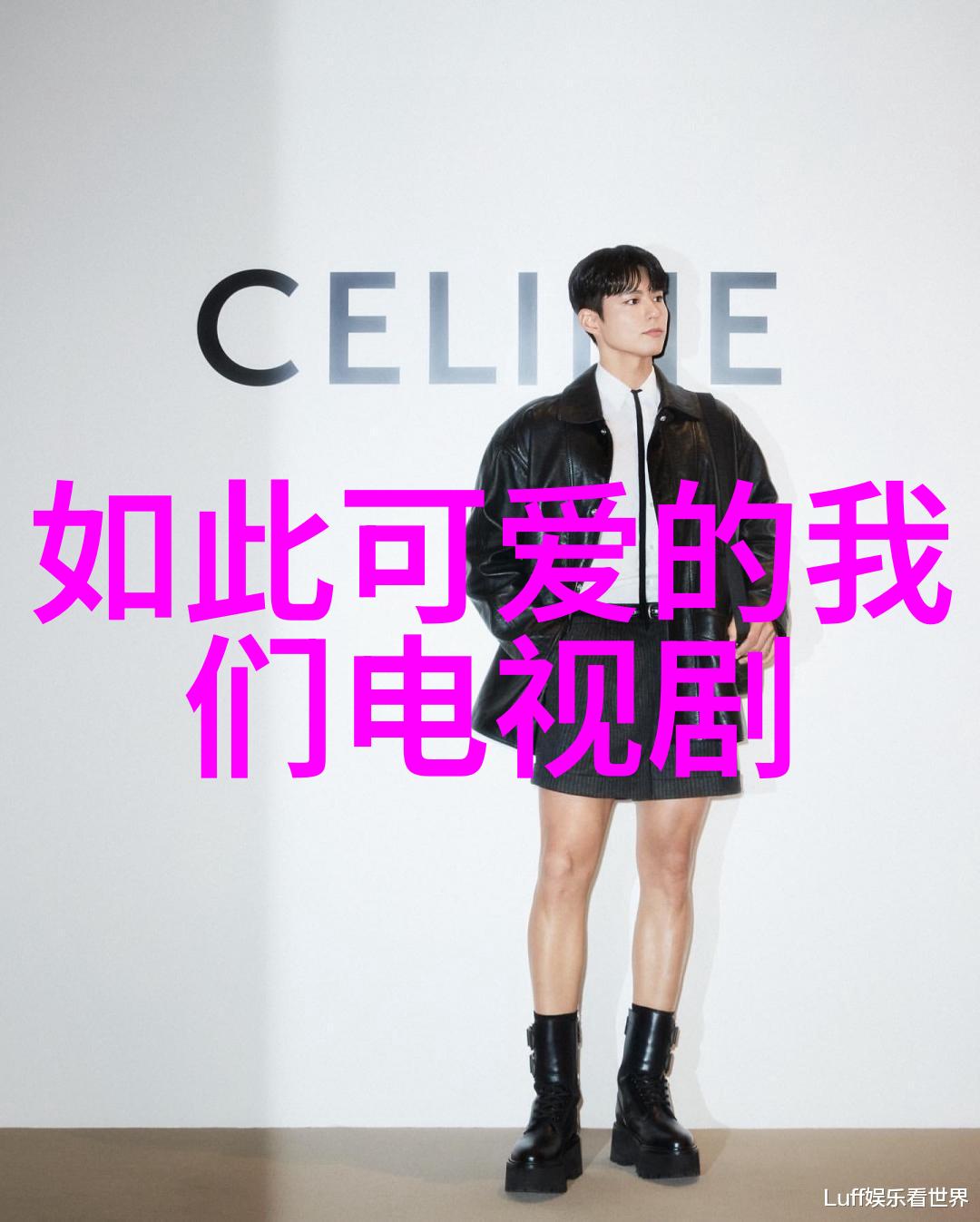 美学公式无删减探究