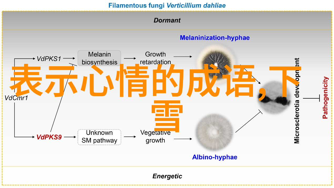 恐怖画面揭秘那些让人胆战心惊的图像