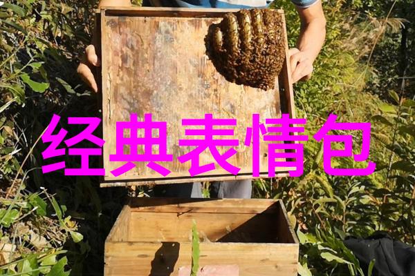 丁真16G iPad人气偶像简介